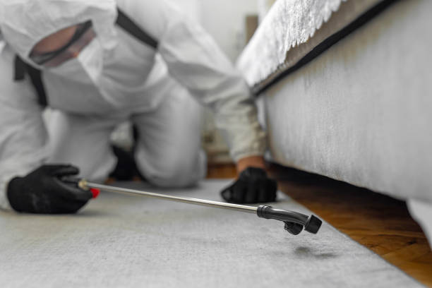 Professional Bed Bug Control technician working in Lexington, MI